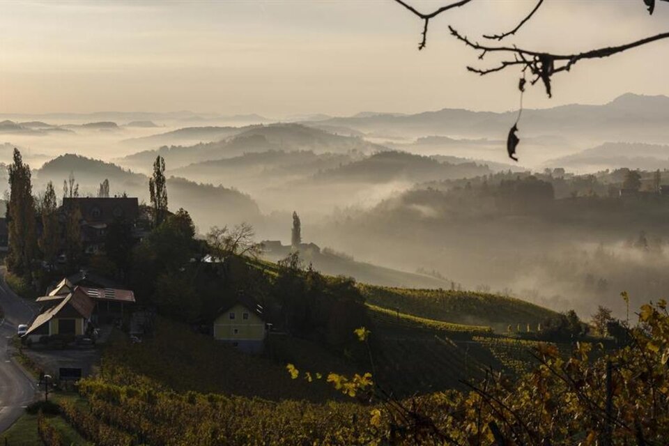 KulturWeingut Kästenburg - Das Wirtshaus - Impression #1 | © KulturWeingut Kästenburg