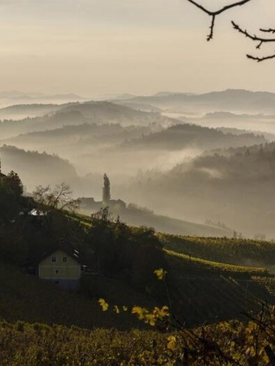 Landschaft Kästenburg | © KulturWeingut Kästenburg