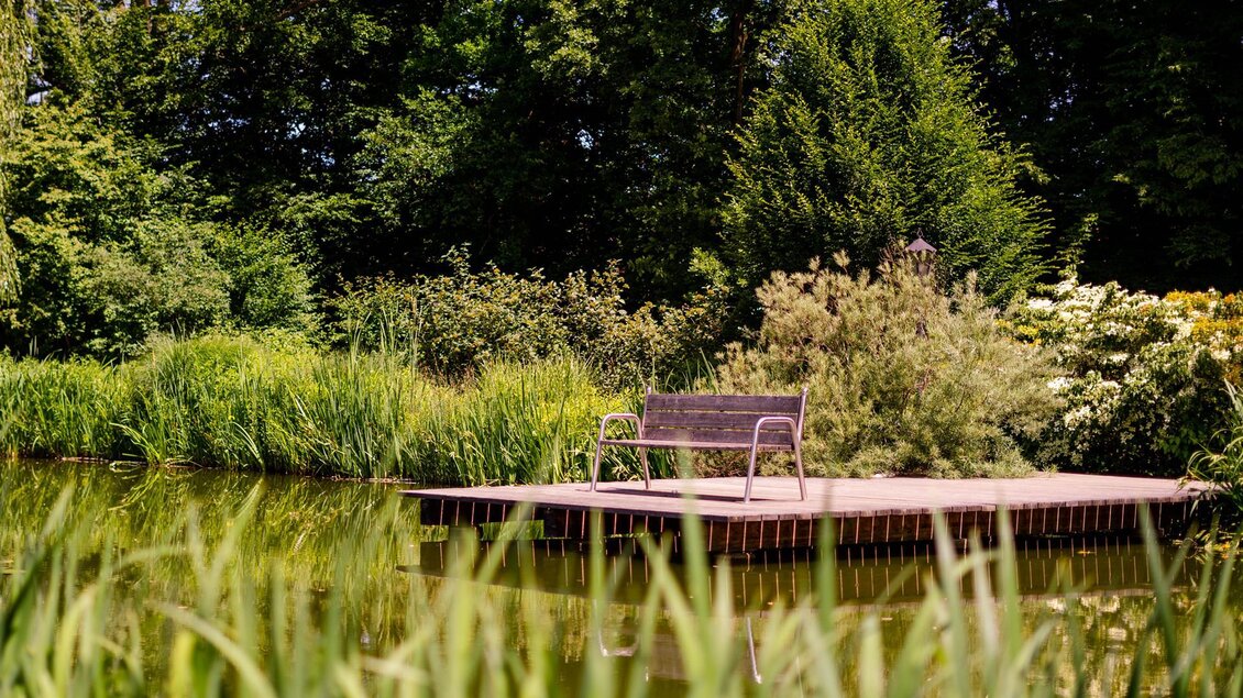 Ein ruhiger Park mit einem Teich und üppigem Grün. Eine Bank steht auf einem Holzsteg, umgeben von Pflanzen. | © Mias Photoart