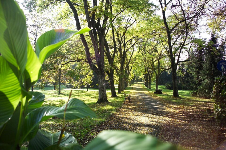 Kurpark Bad Gleichenberg - Impression #1 | © Thermen- & Vulkanland