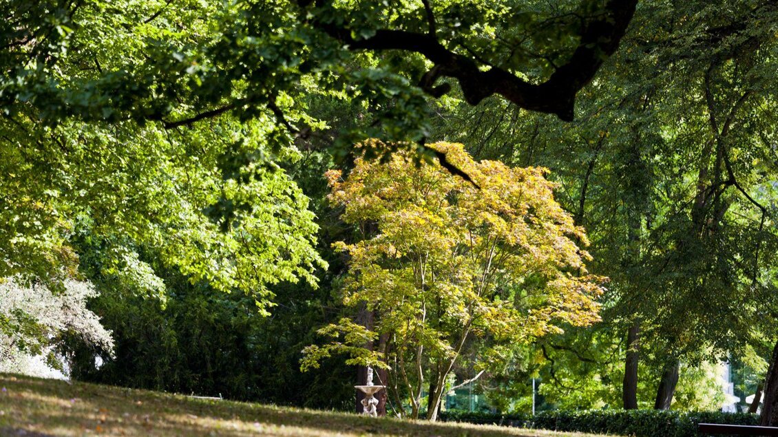 Kurpark | © Thermen- & Vulkanland