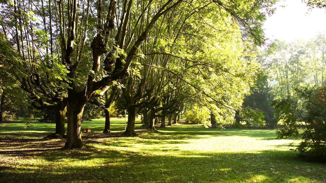 Allee | © Thermen- & Vulkanland