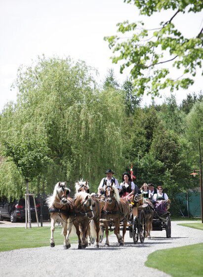 Baumessner-Kutschenfahrten-Murtal-Steiermark | Erlebnisregion Murtal | © Erlebnisregion Murtal