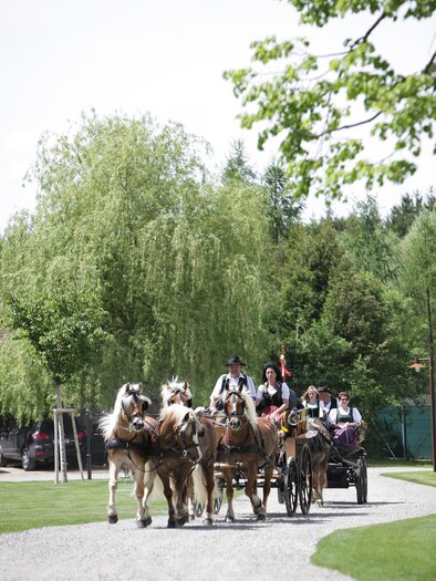Baumessner-Kutschenfahrten-Murtal-Steiermark | © Erlebnisregion Murtal
