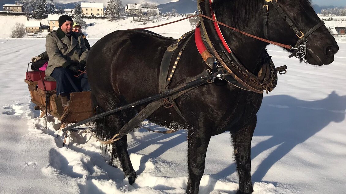 Ein Pferd zieht einen Schlitten durch den Schnee. Zwei Personen sitzen gemütlich im Schlitten und genießen die winterliche Landschaft. | © Familie Deutinger