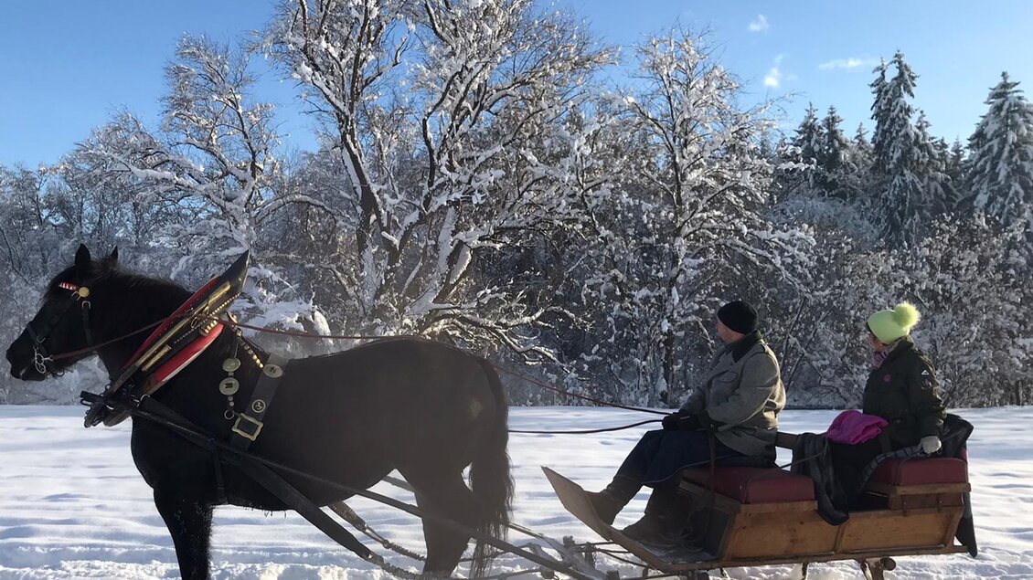 Eine Pferdeschlittenfahrt durch eine verschneite Landschaft. Die Sonne scheint auf die schneebedeckten Bäume. | © Familie Deutinger