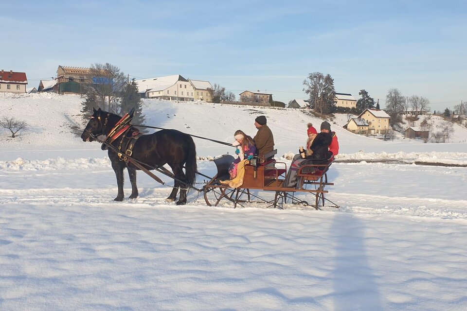 Kutschenfahrten Norikerhof Deutinger - Impression #1 | © Familie Deutinger
