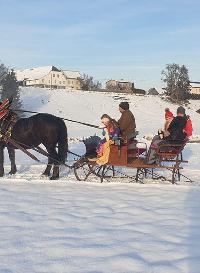 Deutinger-Kutschenfahrt4-Murtal-Steiermark | Familie Deutinger | © Familie Deutinger