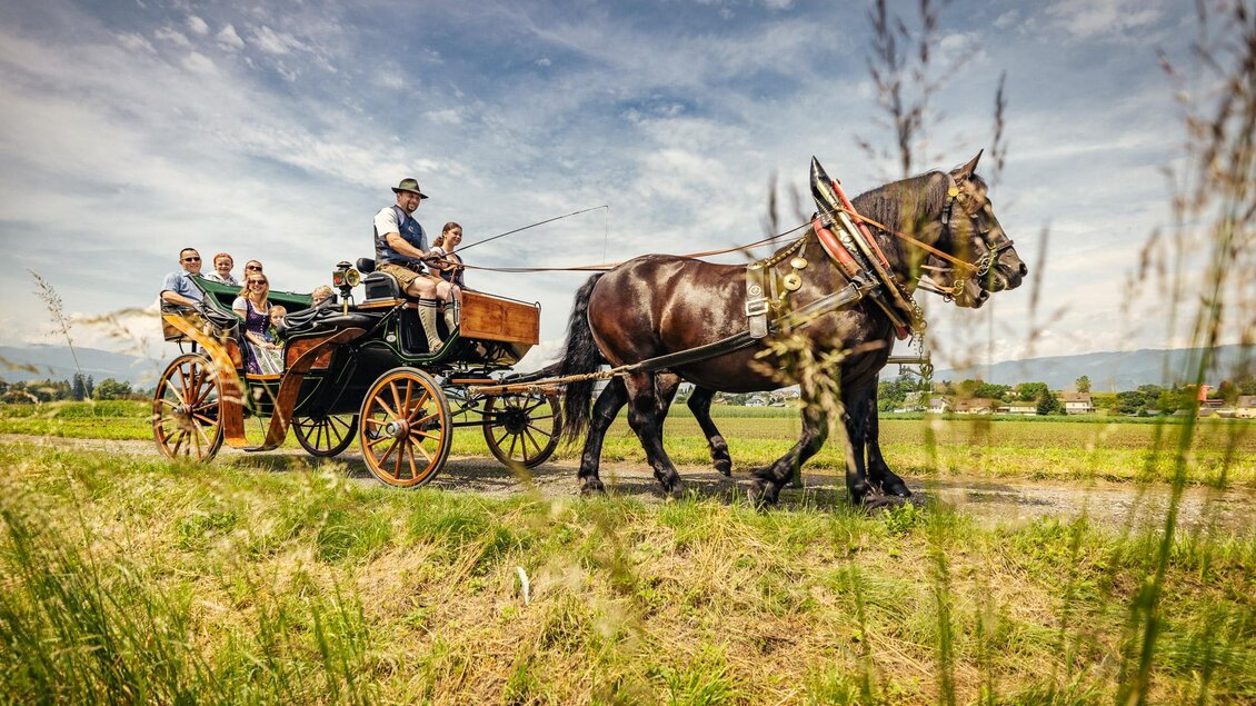 Deutinger-Kutschenfahrt2-Murtal-Steiermark | © Wolfgang Spekner