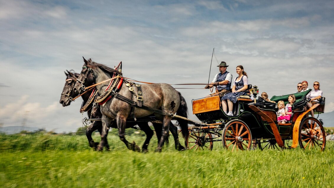 Deutinger-Kutschenfahrt5-Murtal-Steiermark | © Wolfgang Spekner