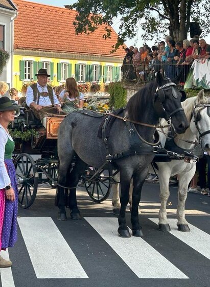 Hopfen- und Weinlesefest Leutschach - Umzug | © Daniel Kocher | Daniel Kocher | © Daniel Kocher