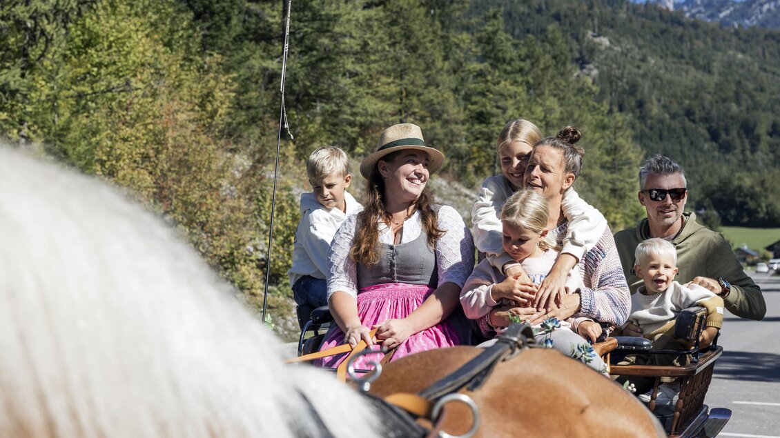 Kutschenfahrt Pferdefreunde Zloam | © www.zloam.at