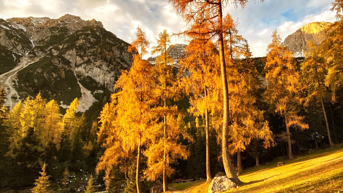 Ein malerischer Waldweg umgeben von leuchtend orangefarbenen Bäumen im Herbst. Im Hintergrund sind majestätische Berge und ein schöner Himmel zu sehen. | © ©KajetanGerharter 
