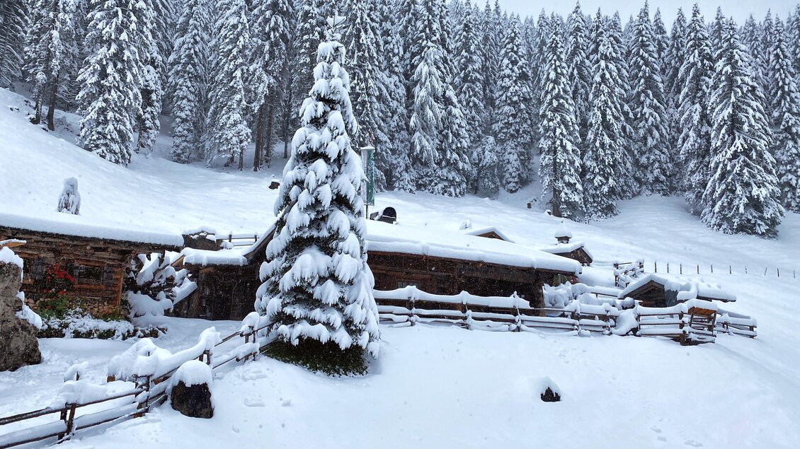 Eine winterliche Landschaft mit schneebedeckten Tannenbäumen. Im Vordergrund steht ein verschneiter Zaun und im Hintergrund sind Berge zu sehen. | © ©KajetanGerharter 