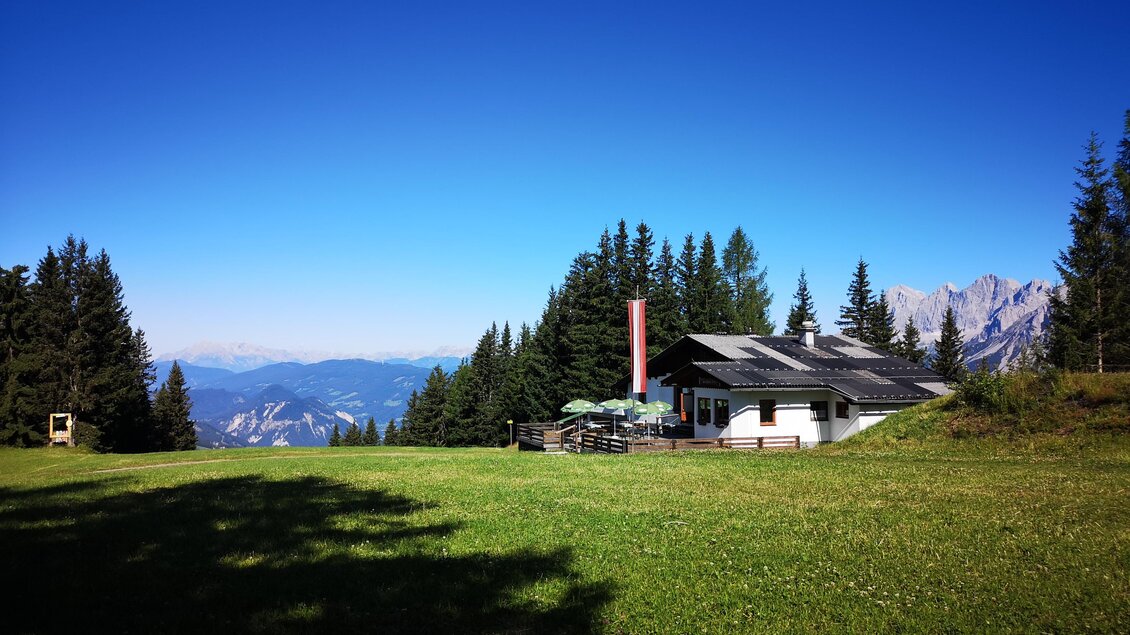 Eine gemütliche Berghütte umgeben von grünen Wiesen und hohen Tannen. Der klare blaue Himmel bietet eine schöne Aussicht auf die Berge. | © Lärchkogelhütte