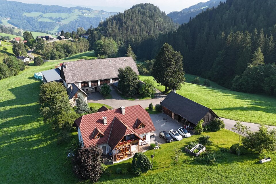 Laikamhof - Alpakawanderungen - Impression #1 | © Erlebnisregion Murtal