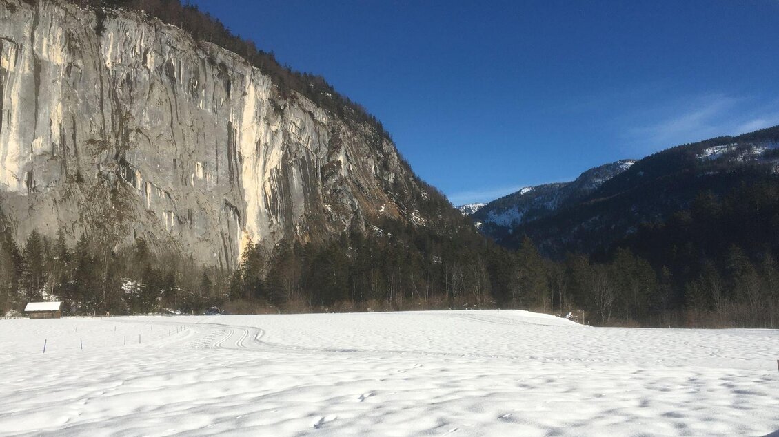 Langlaufen, Grundlsee, Gösslerwiese | © Waltraud Loitzl