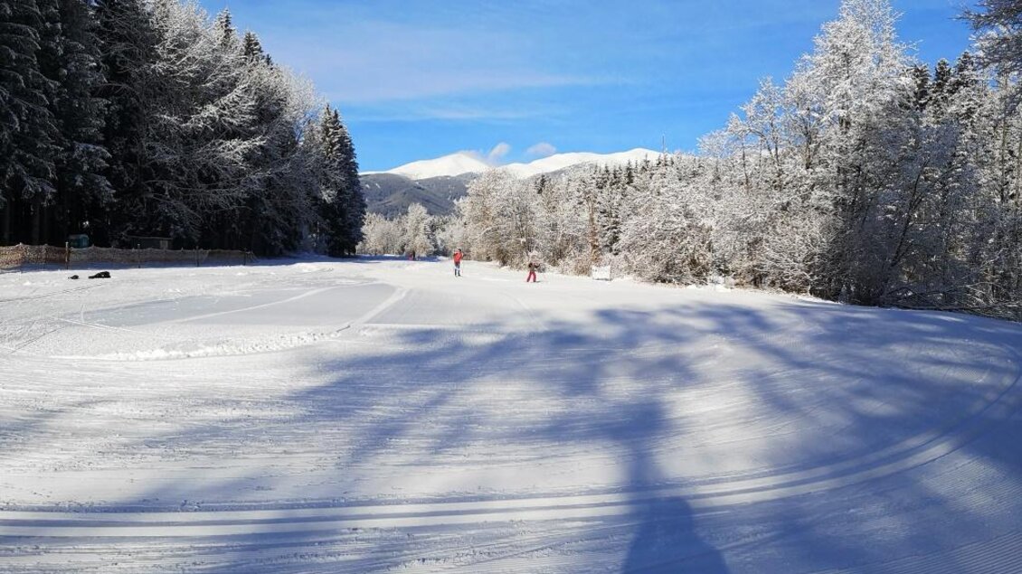 Eine verschneite Landschaft mit Bäumen und klarem Himmel. Im Hintergrund sind Skifahrer auf der Piste zu sehen. | © Anita Fössl