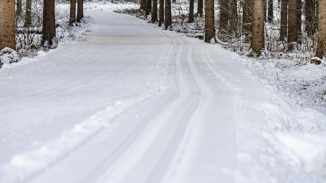 Ein schneebedewegter Weg führt durch einen ruhigen Wald. Die Bäume sind mit Schnee bedeckt, und die Landschaft wirkt friedlich und einladend. | © Anita Fössl