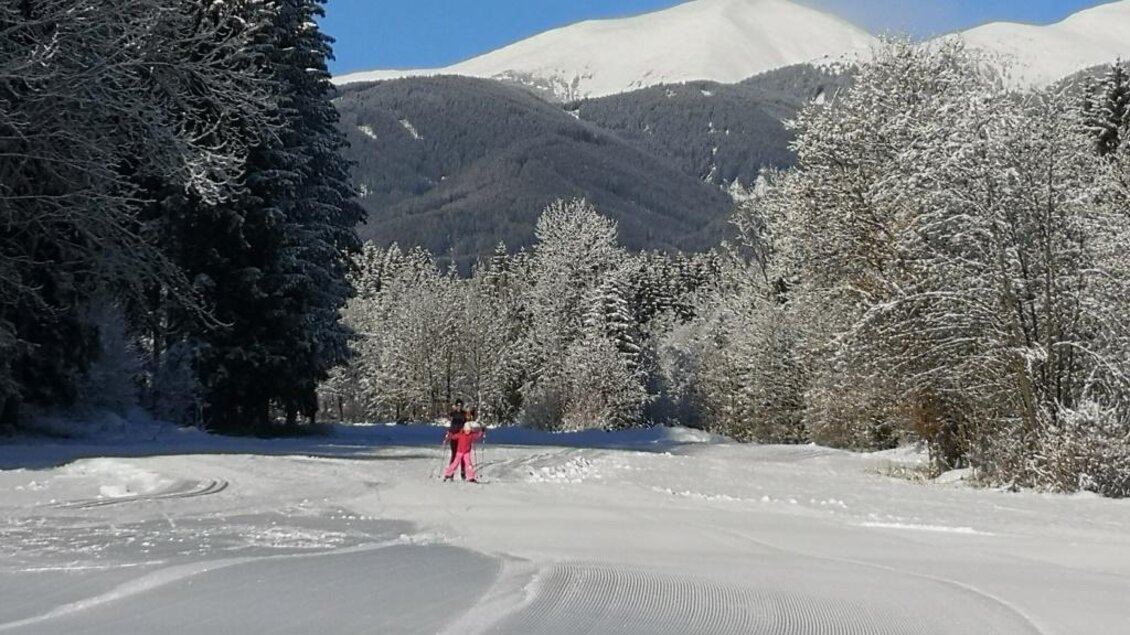 Ein verschneites Winterlandschaft mit hohen Bäumen und sanften Hügeln im Hintergrund. Eine Person in pinker Kleidung fährt auf der schneebedeckten Fläche. | © Anita Fössl