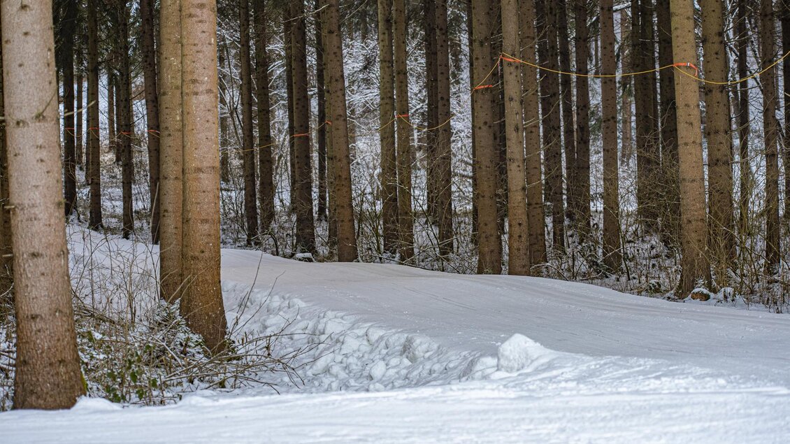 Ein verschneiter Weg durch einen Wald mit hohen, schlanken Bäumen. Die Landschaft ist ruhig und winterlich. | © Anita Fössl