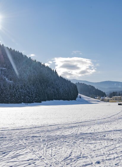 Großlobming-Loipe1-Murtal-Steiermark | Anita Fössl | © Anita Fössl