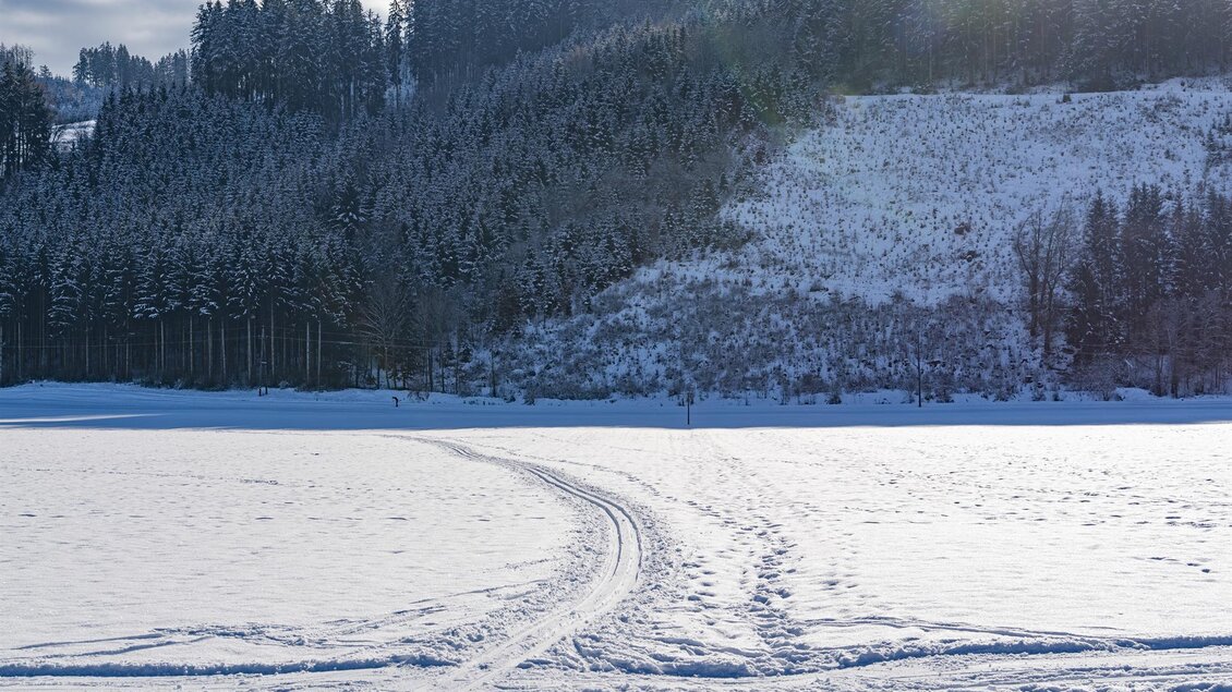 Eine verschneite Landschaft mit gefrorenem See und Spuren im Schnee. Im Hintergrund sind Tannenbäume und Hügel sichtbar. | © Anita Fössl