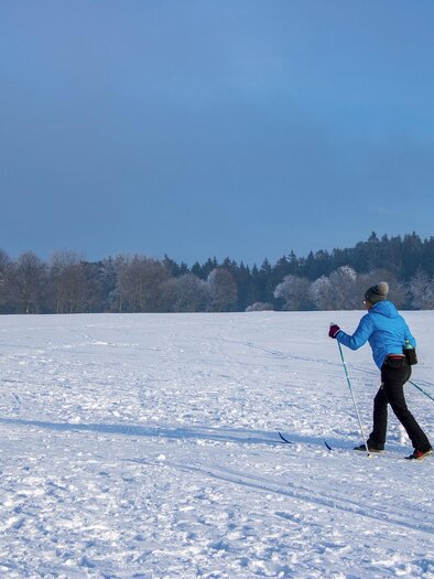 A person is skiing across a snow-covered landscape. In the background, there are trees and a blue sky. | © Pixabay