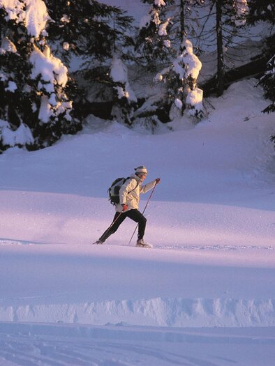 A skier wanders through snowy landscapes. Tall, snow-covered trees surround him. | © Langlaufloipe St.Johann am Tauern