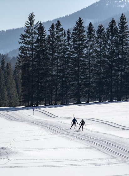LanglaufloipeSt.Marein-Murtal-Steiermark | Thomas Lamm | © Thomas Lamm