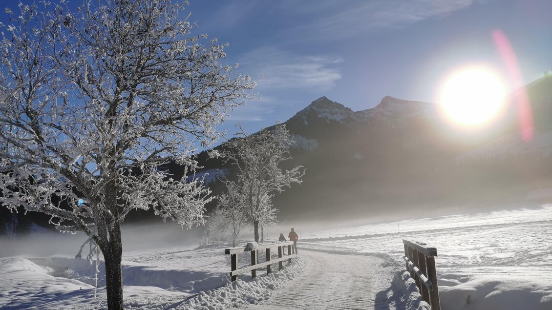 Ein schmaler, verschneiter Weg führt durch eine winterliche Landschaft mit gefrorenen Bäumen. Die Sonne strahlt hell am Horizont und taucht die Szene in ein sanftes Licht. | © NAZ Ausbildungscampus GmbH