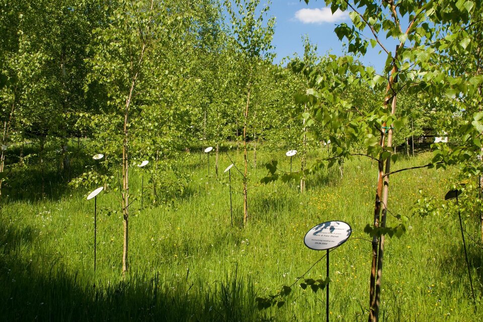 Lebensbundbäume Bad Blumau - Impression #1 | © Rogner Bad Blumau