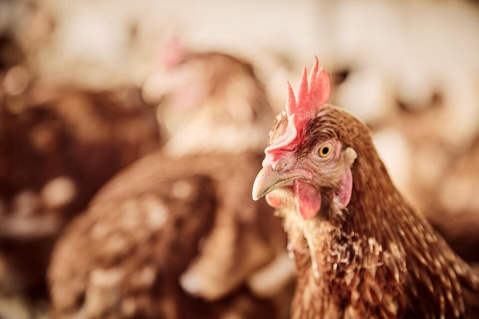 Lechnerhofladen - Impression #1 | © Thomas Sattler