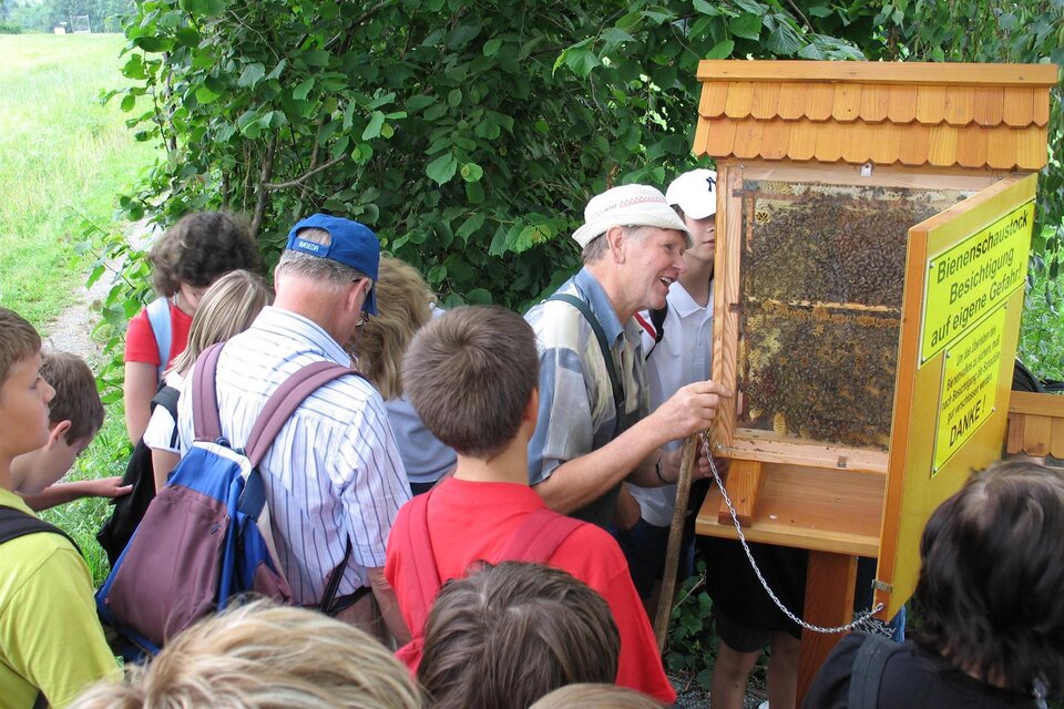 Educational Trail: Bee Nature Trail - Impression #1 | © Josef Moritz