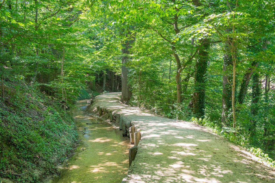 Educational Trail: NaturKRAFTpark - Impression #1 | © Helmut Schweighofer