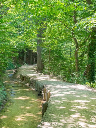 Hinterbrühl_Pöllau_Eastern Styria | © Helmut Schweighofer