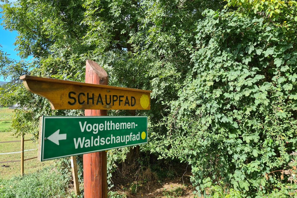 Educational Trail: Bird Watching Trail - Impression #1 | © Tourismusverband Oststeiermark