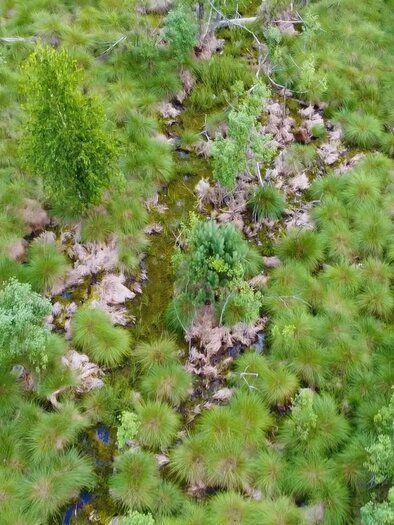 aerial view moor | © TVB Bad Waltersdorf