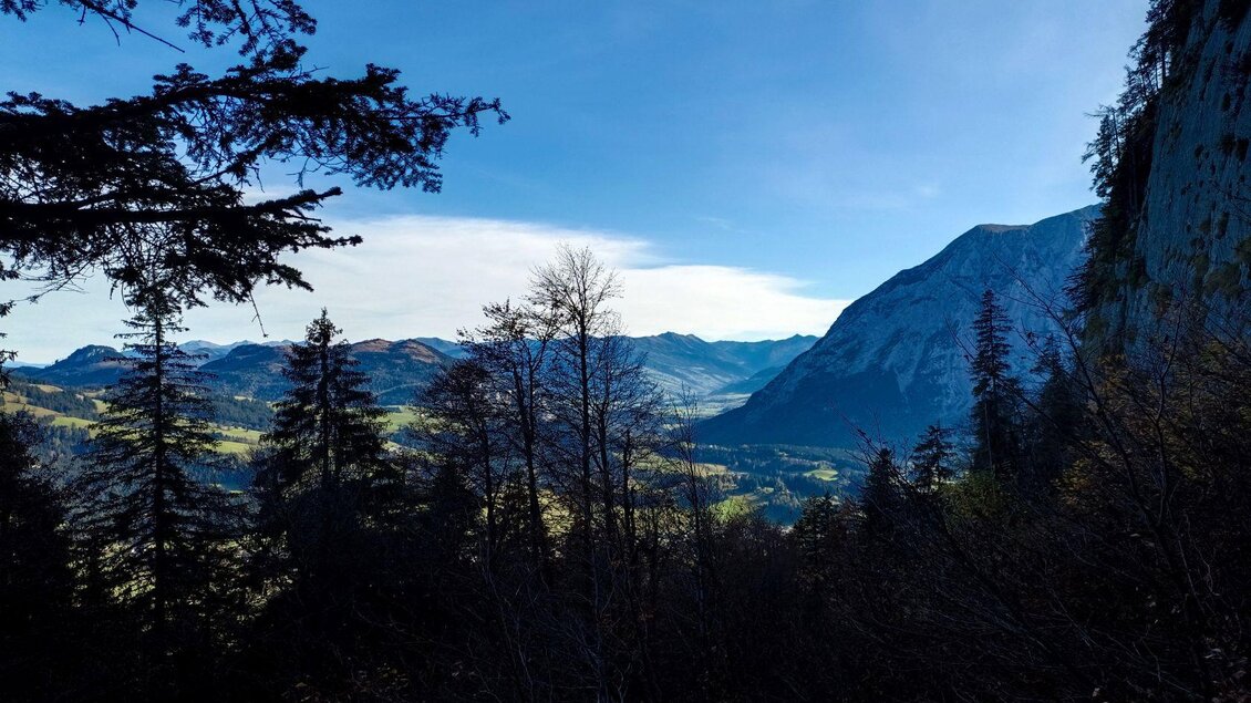 Eine malerische Berglandschaft mit hohen Tannen und weitreichenden Ausblicken. Die Sonne scheint auf die Berge im Hintergrund und der Himmel ist klar. | © TVB Ausseerland Salzkammergut_Kolb