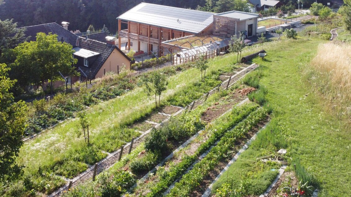 Ein Gemüse- und Kräutergarten mit mehreren Beeten, umgeben von Gras und Bäumen. Im Hintergrund ist ein modernes Gebäude zu sehen. | © Sabine Lienhart