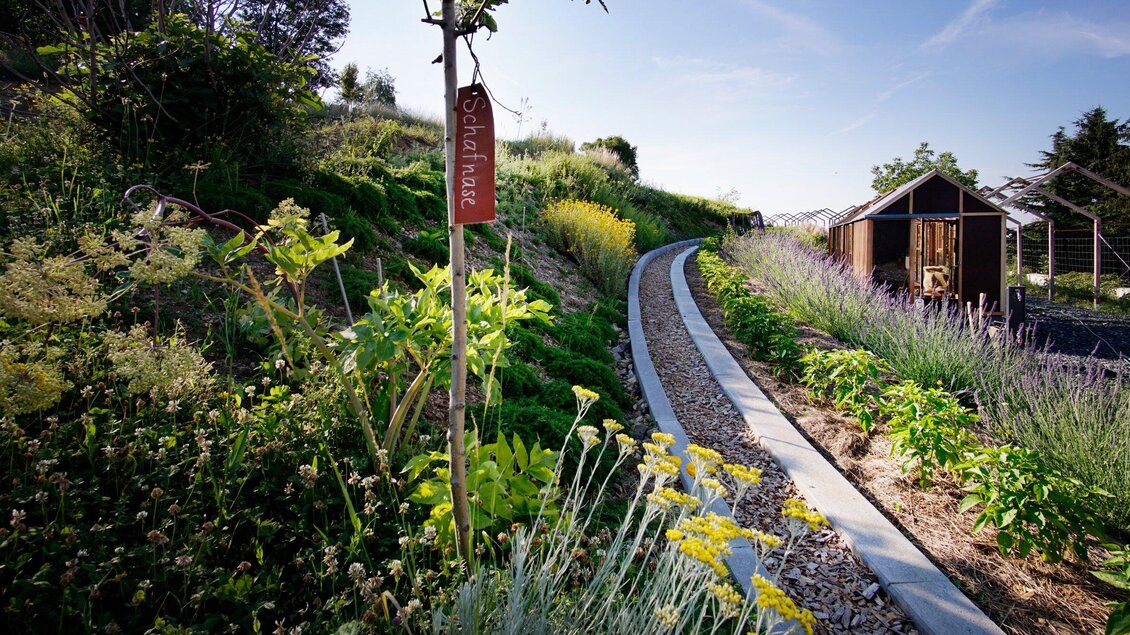 Ein schöner Garten mit einem geschwungenen Weg, umgeben von Pflanzen und Kräutern. Im Hintergrund steht eine kleine Gartenhütte. | © Sabine Lienhart