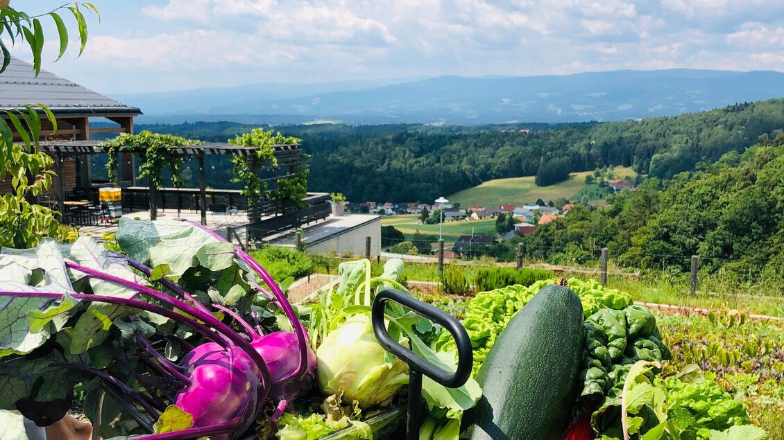Ein schöner Gemüsegarten mit frisch geerntetem Gemüse im Vordergrund. Im Hintergrund erstreckt sich eine malerische Landschaft mit sanften Hügeln und blauen Bergen. | © Sabine Lienhart