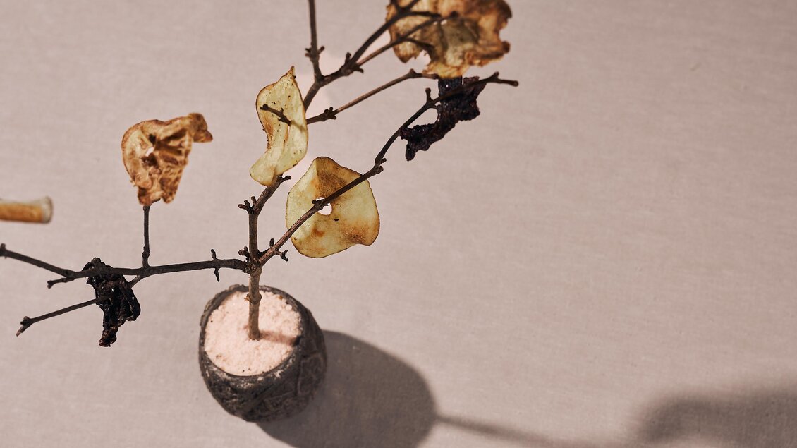 Ein künstlerisches Arrangement mit einem kleinen Zweig in einer runden Vase. Die Blätter sind trocken und in verschiedenen Farben gehalten.