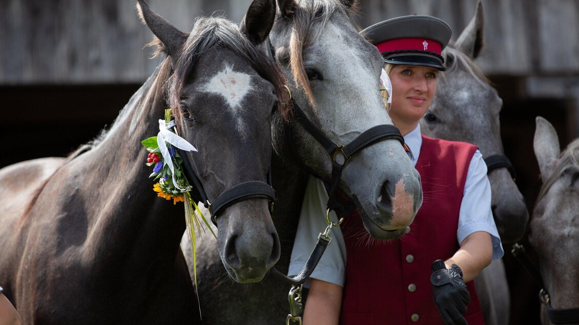 Ein Mann in Uniform steht neben zwei Pferden. Die Pferde tragen eine bunte Dekoration und scheinen freundlich zu sein. | © SRS-Sabrina Mallick