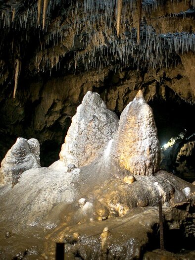 Ein faszinierender Höhlenraum mit ausgeprägten Stalaktiten und Stalagmiten. Die Umgebung ist düster, mit sanfter Beleuchtung, die die Formationen hervorhebt. | © Region Graz - Tom Lamm