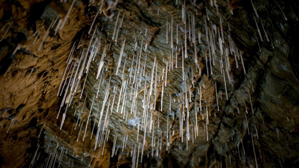 Eine beeindruckende Höhle mit langen, hängenden Stalagmiten. Das Licht reflektiert auf den geformten Mineralien und schafft eine mystische Atmosphäre. | © Region Graz - Tom Lamm