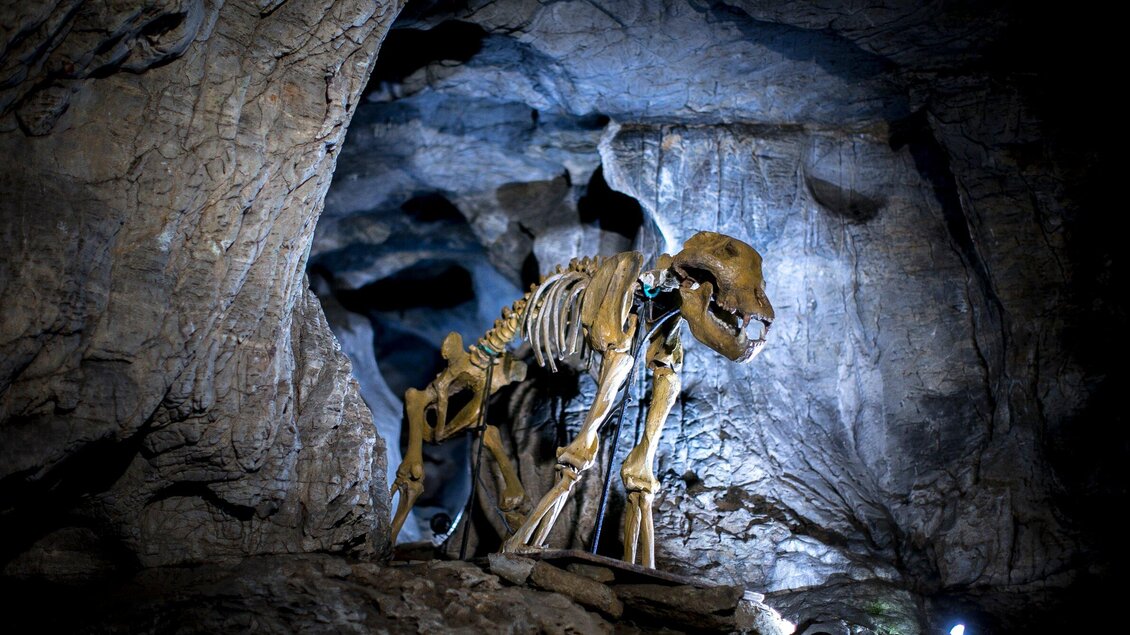 Ein Dinosaurierskelett steht in einer Höhle. Die Umgebung ist dunkel und felsig, mit schwachem Licht. | © Region Graz - Tom Lamm