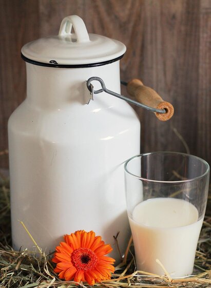 Madl-Milch-Murtal-Steiermark | Pixabay | © Pixabay