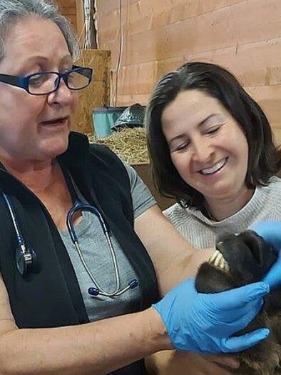 Mag. Johanna Czerny | © Gemeinde Jagerberg