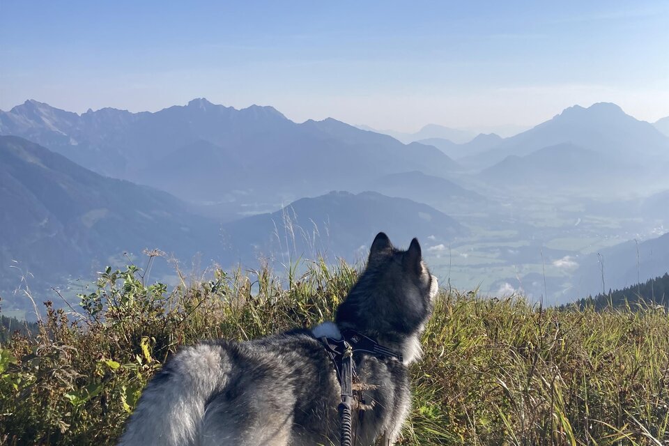 MagicMoments4You - Impression #1